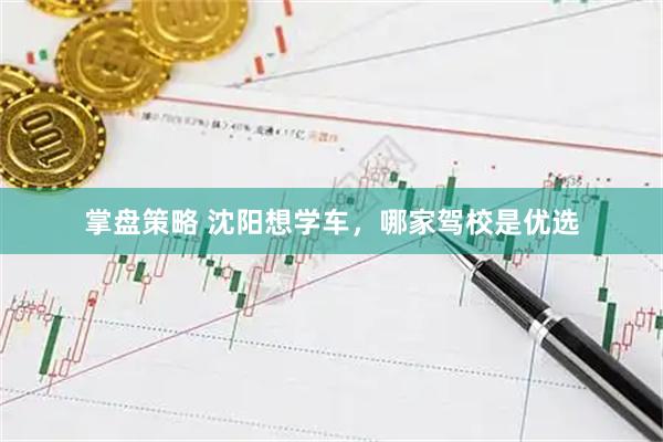 掌盘策略 沈阳想学车，哪家驾校是优选